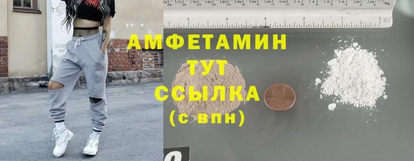 дживик Семилуки