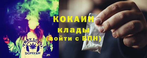 шишки Балабаново